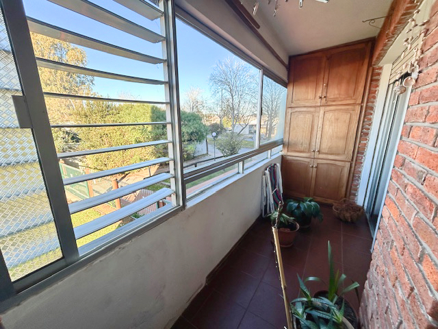 Imagen 5 de la galería