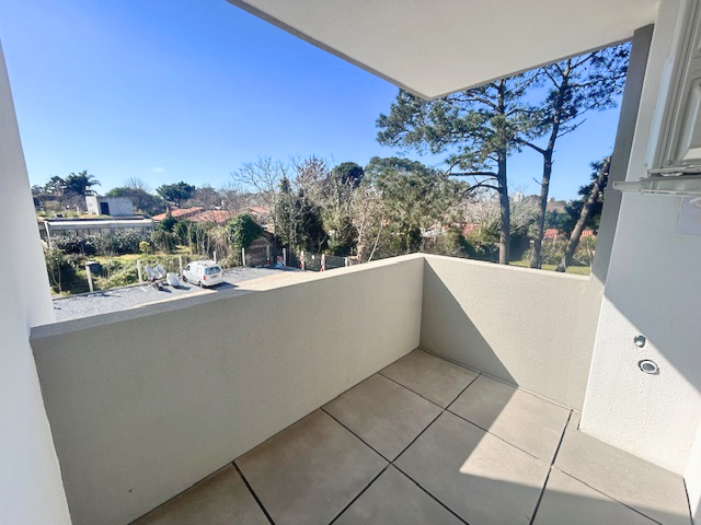 Imagen 5 de la galería