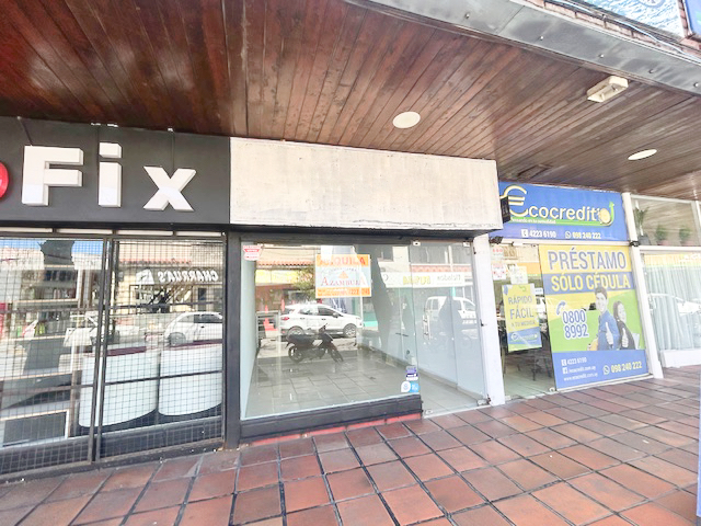 Imagen 1 de la galería