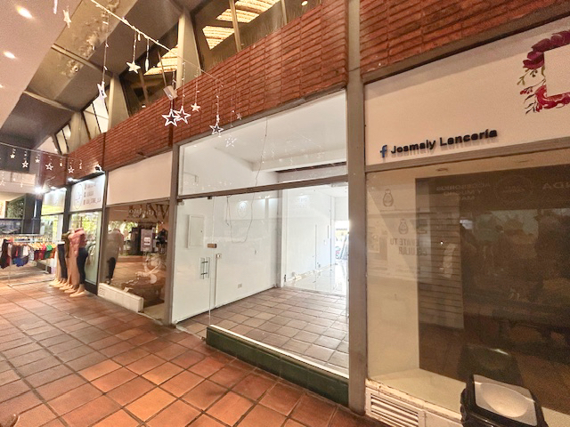 Imagen 3 de la galería