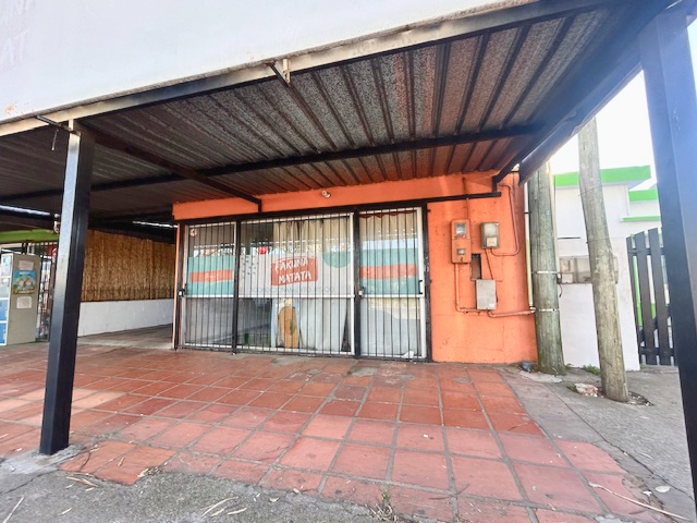 Imagen 1 de la galería