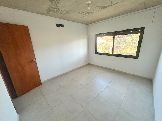 Imagen 4 de la galería