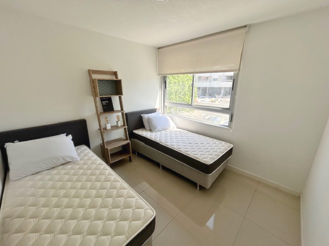 Imagen 6 de la galería