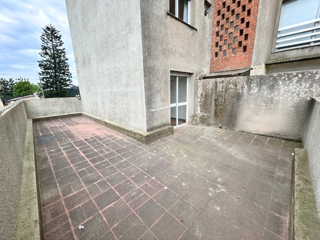 Imagen 3 de la galería