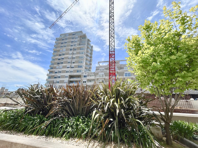 Imagen 1 de la galería