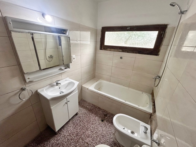 Imagen 7 de la galería