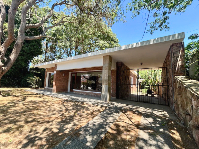 Imagen 15 de la galería