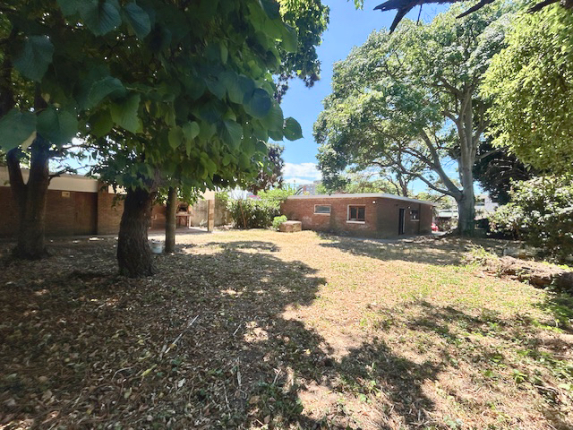 Imagen 18 de la galería