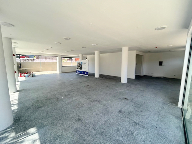 Imagen 3 de la galería