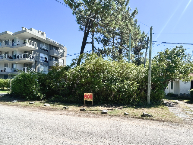 Imagen 2 de la galería