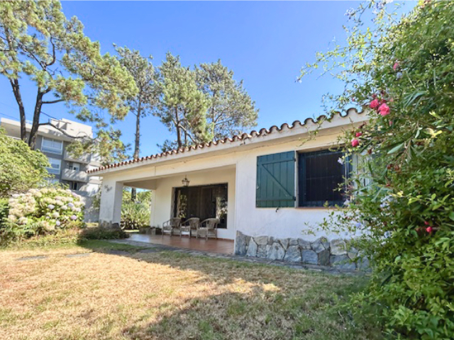 Imagen 2 de la galería