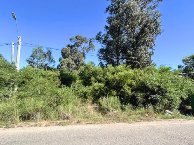 Imagen 1 de la galería