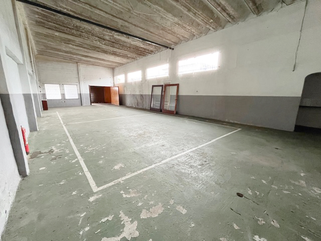 Imagen 7 de la galería