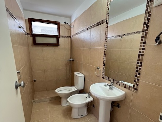 Imagen 10 de la galería