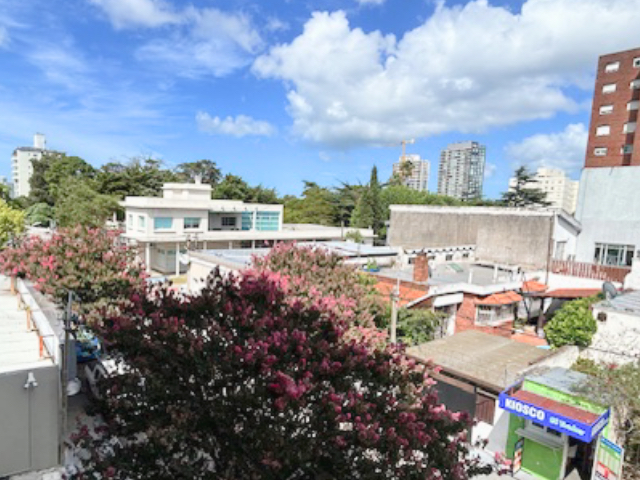 Imagen 9 de la galería