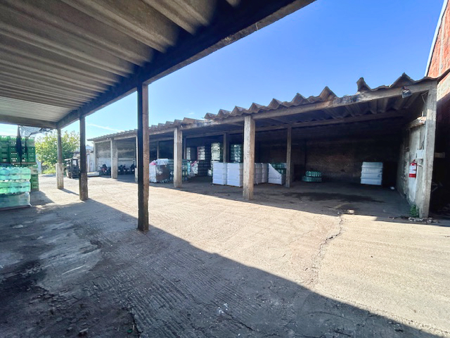 Imagen 5 de la galería