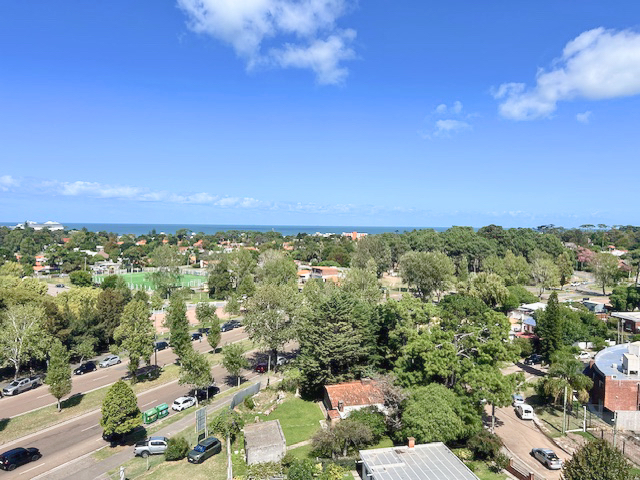 Imagen 13 de la galería