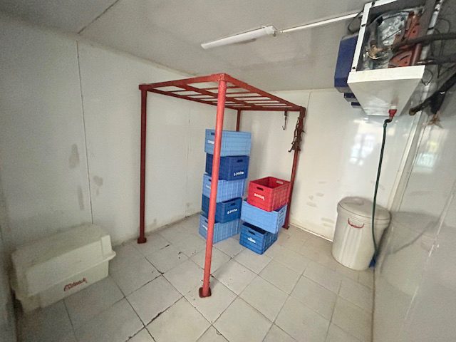 Imagen 5 de la galería