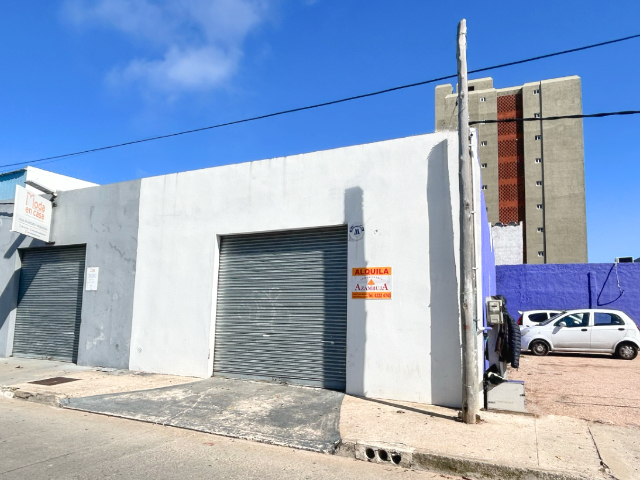 Imagen 1 de la galería