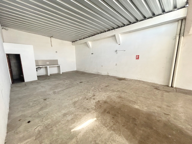 Imagen 5 de la galería