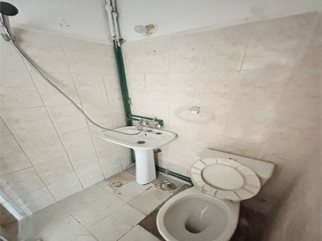 Imagen 4 de la galería