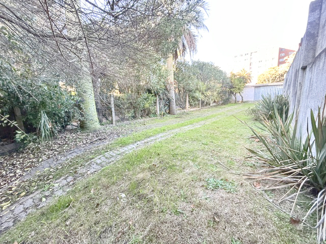 Imagen 5 de la galería