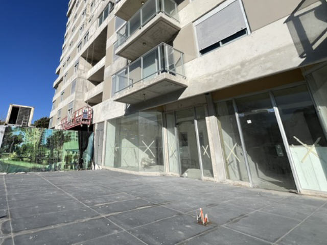 Imagen 1 de la galería