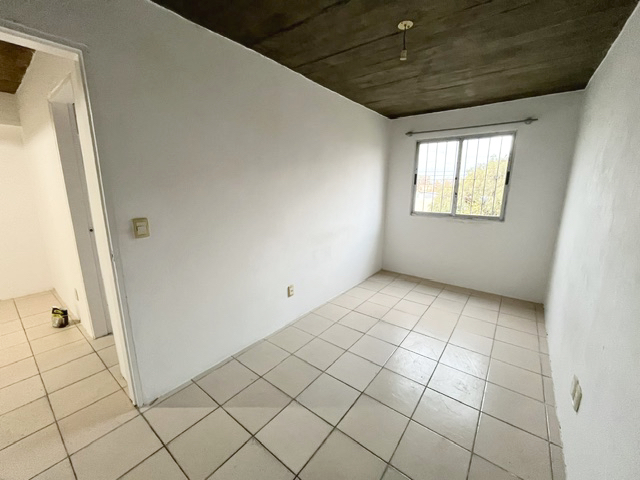 Imagen 11 de la galería