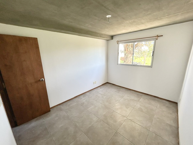 Imagen 7 de la galería