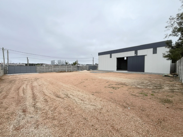 Imagen 3 de la galería