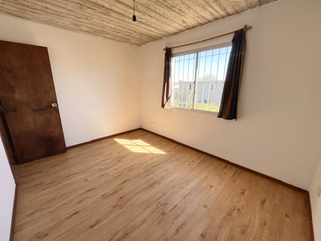 Imagen 7 de la galería