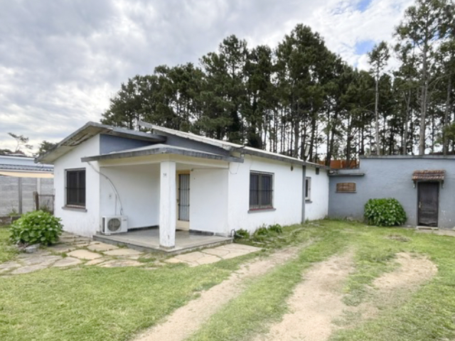 Imagen 1 de la galería