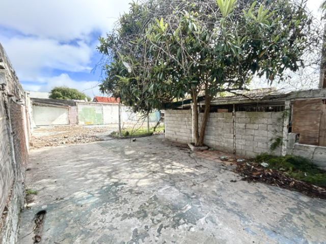 Imagen 2 de la galería