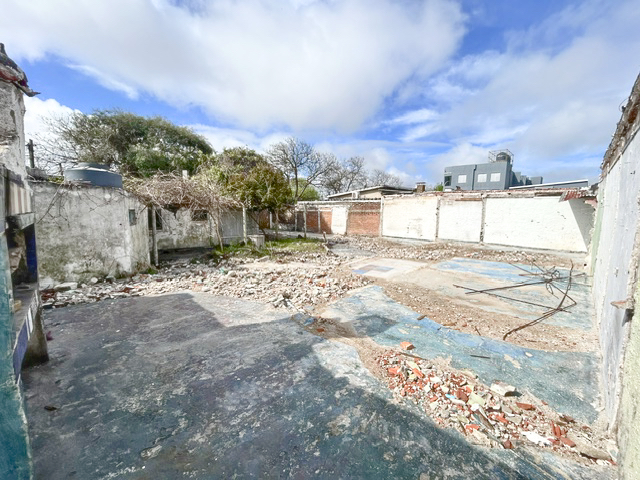 Imagen 4 de la galería